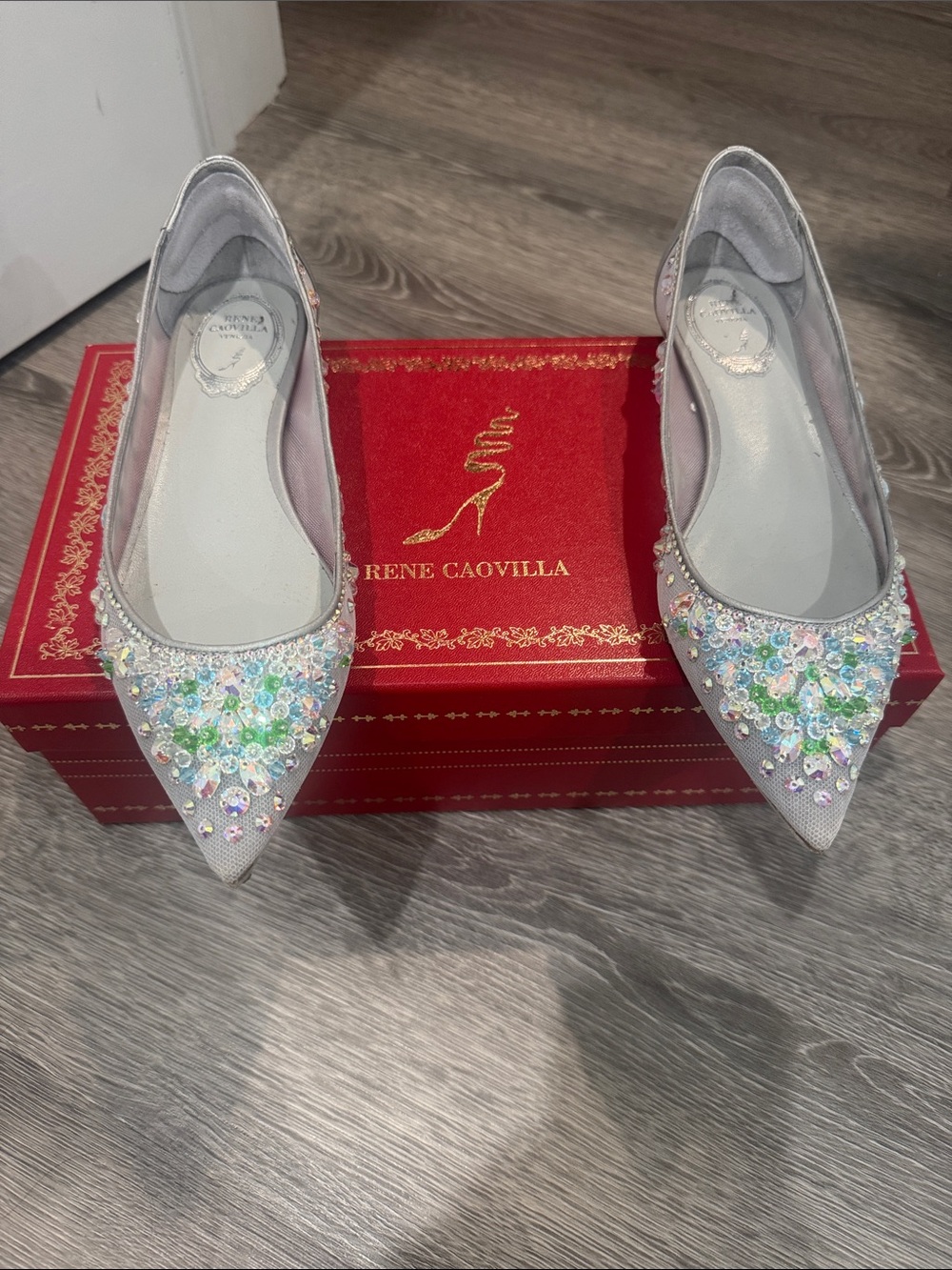 AUTHENTIC René Caovilla Crystal-Embellished Cinderella Pointed-Toe Flats